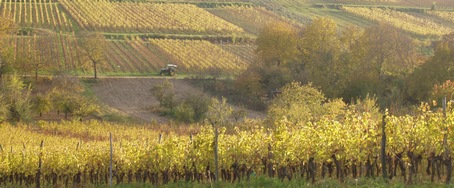 Automne en alsace, autour de notre gte